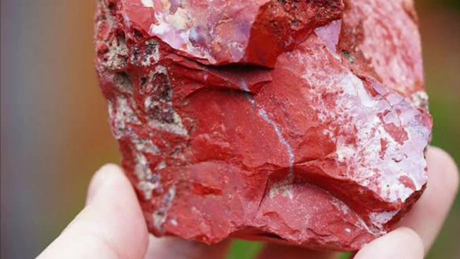 The Rooted Red Jasper Pt 2
